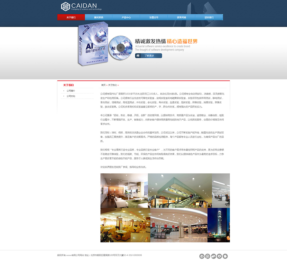 软件公司网站设计关于我们