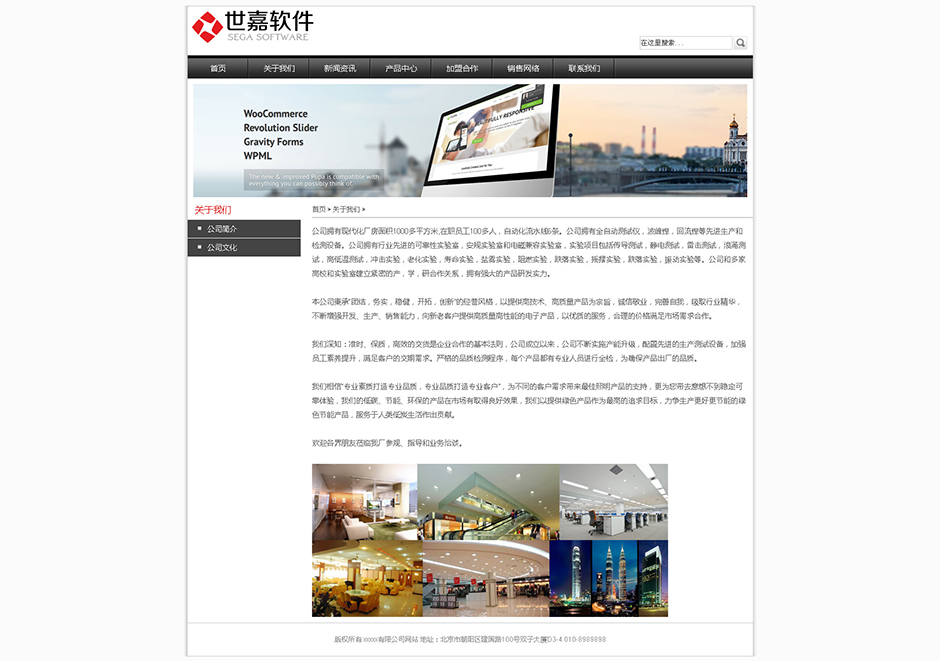 软件公司企业网站模板下载关于我们